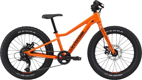 Cannondale Kids Trail Plus 20"